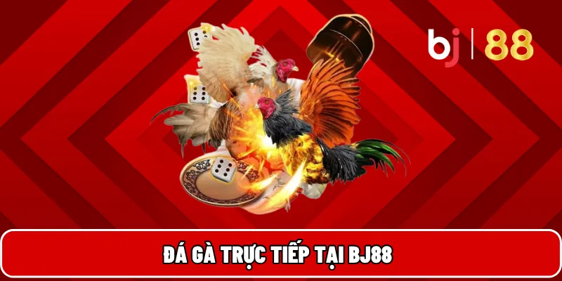 BJ88 Cổng Game Đổi Thưởng Uy Tín Hàng Đầu Việt Nam 24 Đá gà trực tiếp tại BJ88
